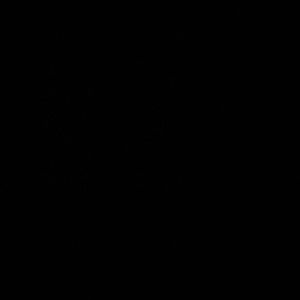 Meet your Posher, Isabella